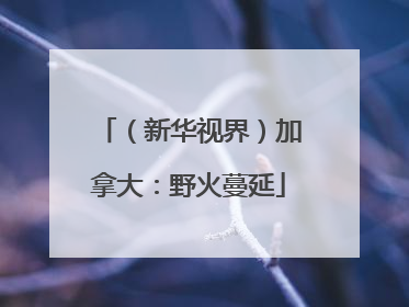 （新华视界）加拿大：野火蔓延