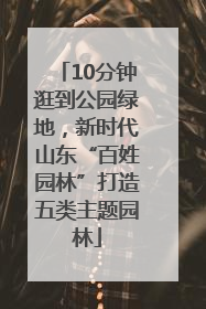 10分钟逛到公园绿地，新时代山东“百姓园林”打造五类主题园林