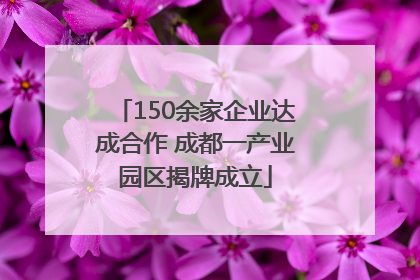 150余家企业达成合作 成都一产业园区揭牌成立