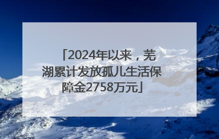 2024年以来，芜湖累计发放孤儿生活保障金2758万元
