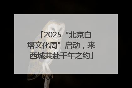 2025“北京白塔文化周”启动，来西城共赴千年之约
