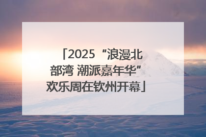 2025“浪漫北部湾 潮派嘉年华”欢乐周在钦州开幕