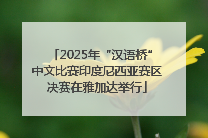 2025年“汉语桥”中文比赛印度尼西亚赛区决赛在雅加达举行
