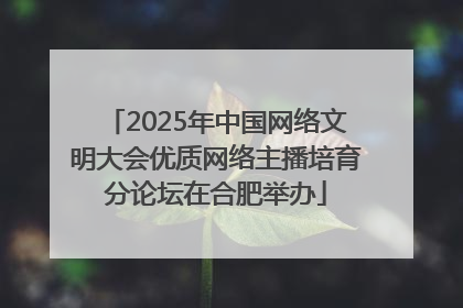 2025年中国网络文明大会优质网络主播培育分论坛在合肥举办