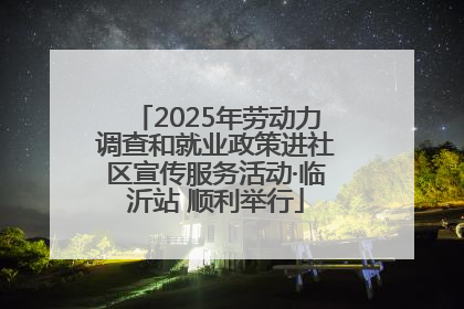 2025年劳动力调查和就业政策进社区宣传服务活动·临沂站 顺利举行
