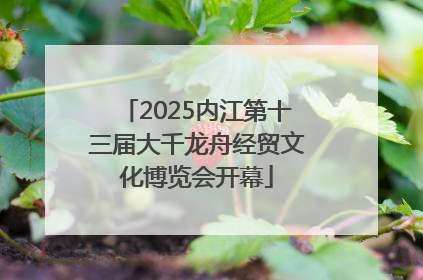 2025内江第十三届大千龙舟经贸文化博览会开幕
