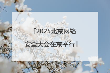 2025北京网络安全大会在京举行