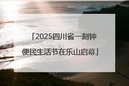 2025四川省一刻钟便民生活节在乐山启幕
