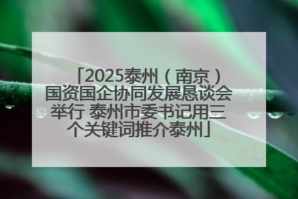 2025泰州（南京）国资国企协同发展恳谈会举行 泰州市委书记用三个关键词推介泰州