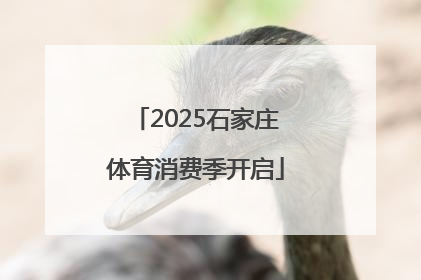 2025石家庄体育消费季开启
