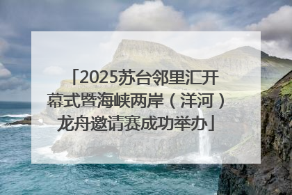 2025苏台邻里汇开幕式暨海峡两岸（洋河）龙舟邀请赛成功举办