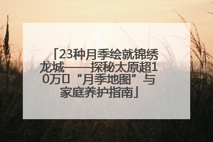 23种月季绘就锦绣龙城——探秘太原超10万㎡“月季地图”与家庭养护指南