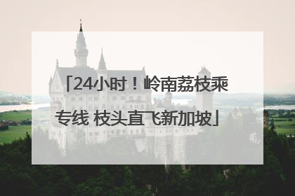 24小时！岭南荔枝乘专线 枝头直飞新加坡