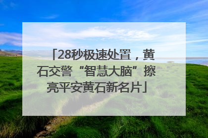 28秒极速处置，黄石交警“智慧大脑”擦亮平安黄石新名片