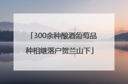 300余种酿酒葡萄品种相继落户贺兰山下