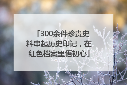 300余件珍贵史料串起历史印记，在红色档案里悟初心
