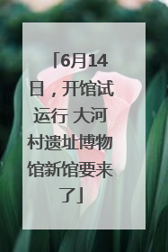 6月14日，开馆试运行 大河村遗址博物馆新馆要来了