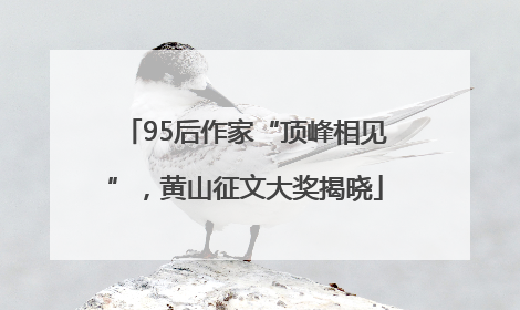 95后作家“顶峰相见”，黄山征文大奖揭晓