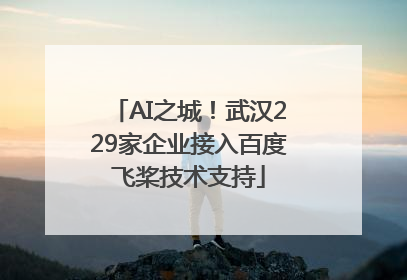 AI之城！武汉229家企业接入百度飞桨技术支持