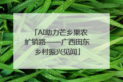 AI助力芒乡果农扩销路——广西田东乡村振兴见闻