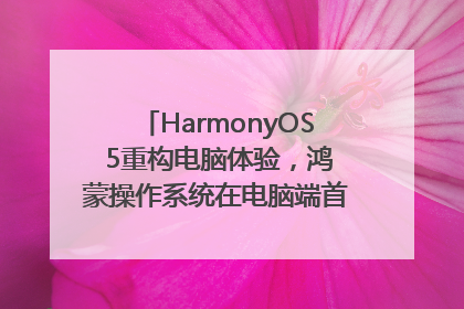 HarmonyOS 5重构电脑体验，鸿蒙操作系统在电脑端首次亮相丨新经济观察