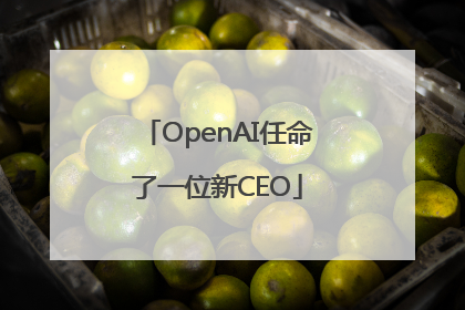OpenAI任命了一位新CEO