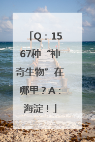Q：1567种“神奇生物”在哪里？A：海淀！